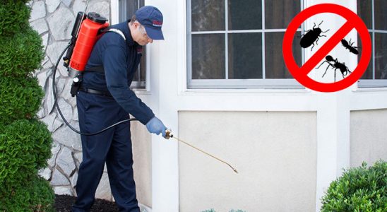 Taşkent Gümüşkurt İlaçlama böcek ilaçlama ve haşere kontrolü — ilaclama-tr.com